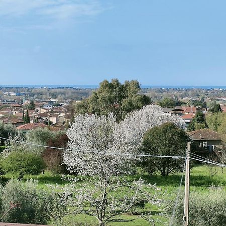 Casa Bianca Βίλα Pietrasanta Εξωτερικό φωτογραφία
