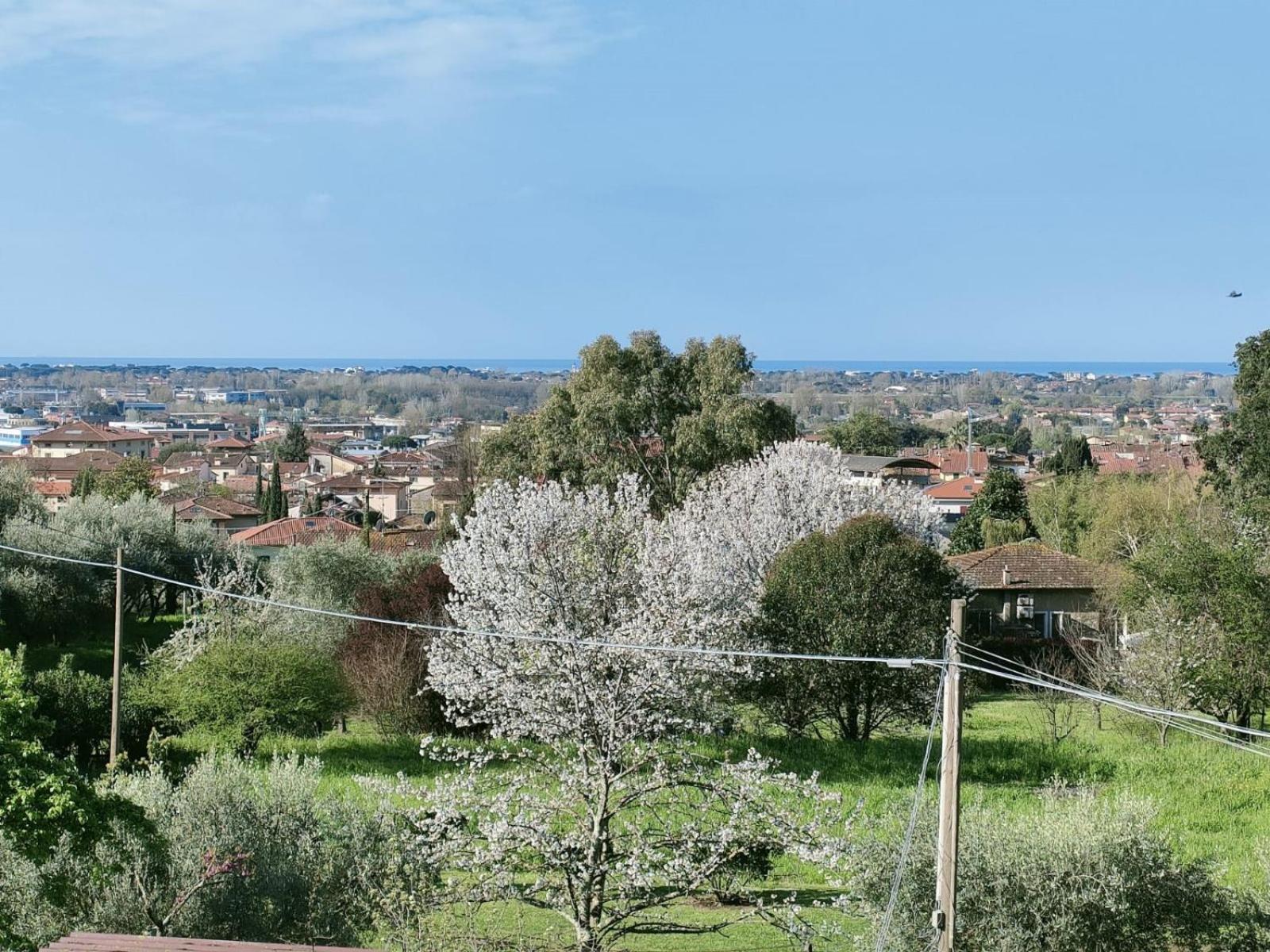 Casa Bianca Βίλα Pietrasanta Εξωτερικό φωτογραφία